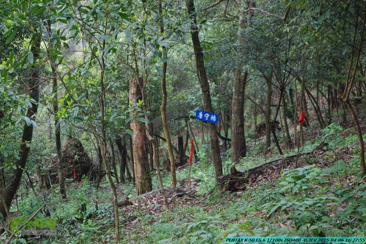 20150406-双河-葫芦顶（橄榄旋风俱乐部驴友户外）IMGP3487