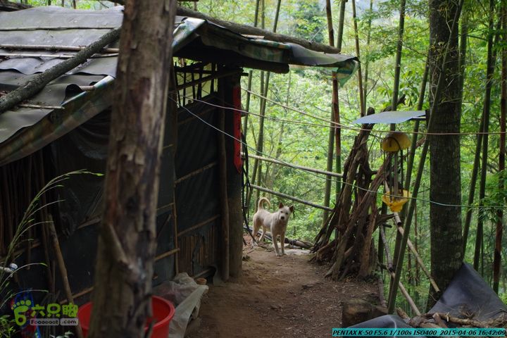 20150406-双河-葫芦顶（橄榄旋风俱乐部驴友户外）IMGP3492