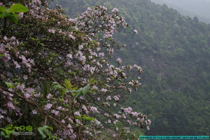 20150406-双河-葫芦顶（橄榄旋风俱乐部驴友户外）IMGP3501