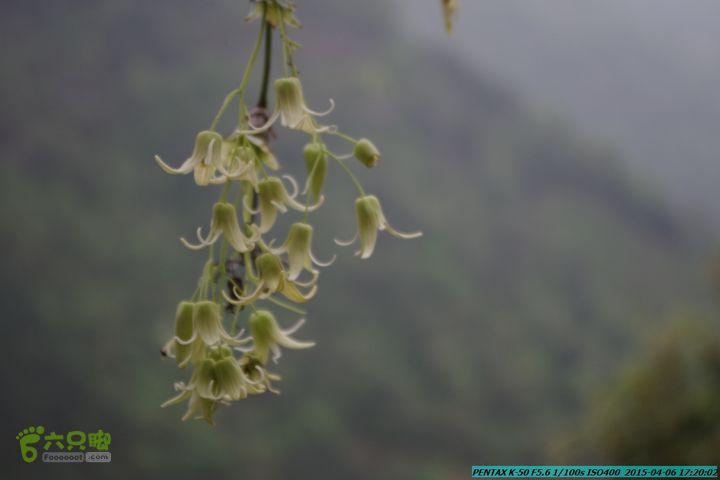 20150406-双河-葫芦顶（橄榄旋风俱乐部驴友户外）IMGP3507