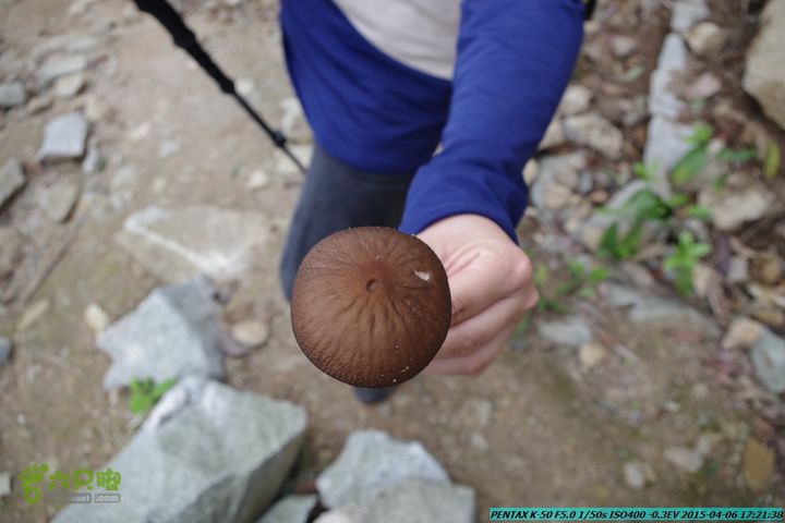 20150406-双河-葫芦顶（橄榄旋风俱乐部驴友户外）IMGP3514