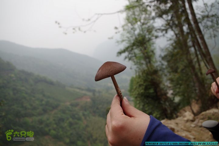 20150406-双河-葫芦顶（橄榄旋风俱乐部驴友户外）IMGP3516