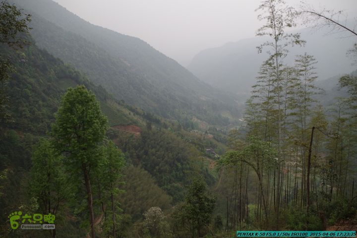 20150406-双河-葫芦顶（橄榄旋风俱乐部驴友户外）IMGP3522