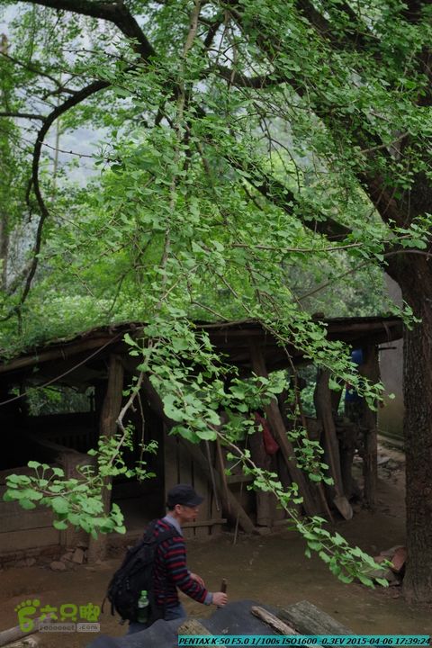 20150406-双河-葫芦顶（橄榄旋风俱乐部驴友户外）IMGP3541