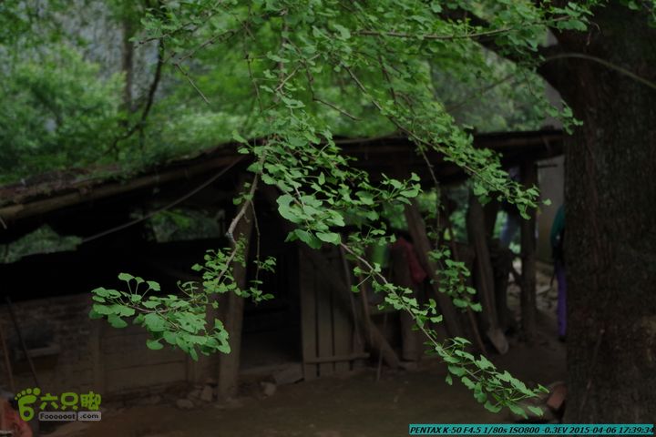20150406-双河-葫芦顶（橄榄旋风俱乐部驴友户外）IMGP3544