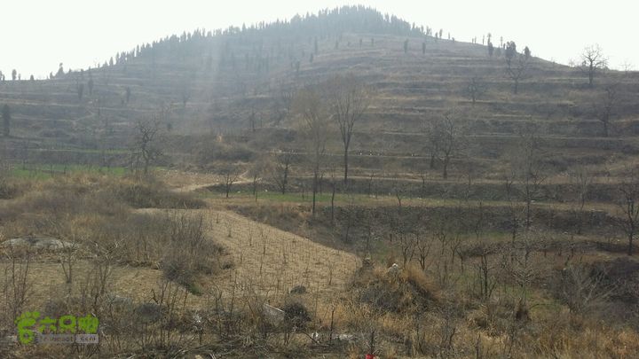 上稍村2015-03-28 09:25:43