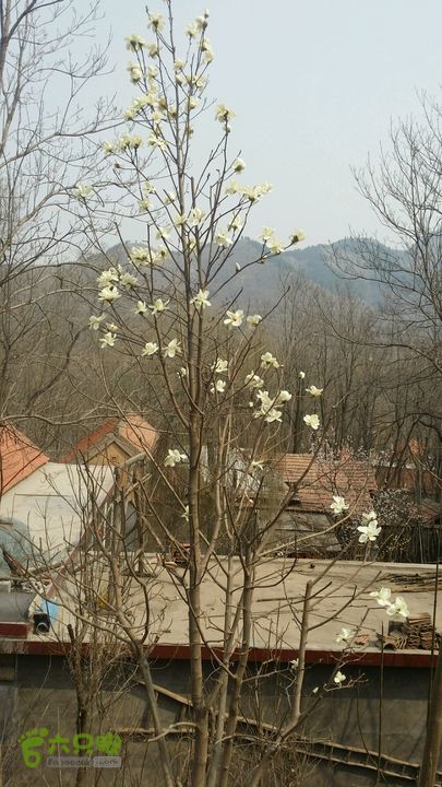 上稍村2015-03-28 13:48:35