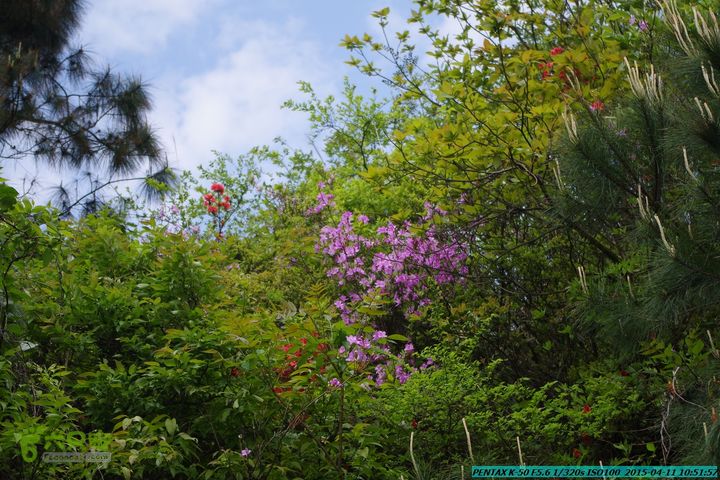 20150411(六只脚桂林同城会)-尧山南北峰穿越IMGP3689