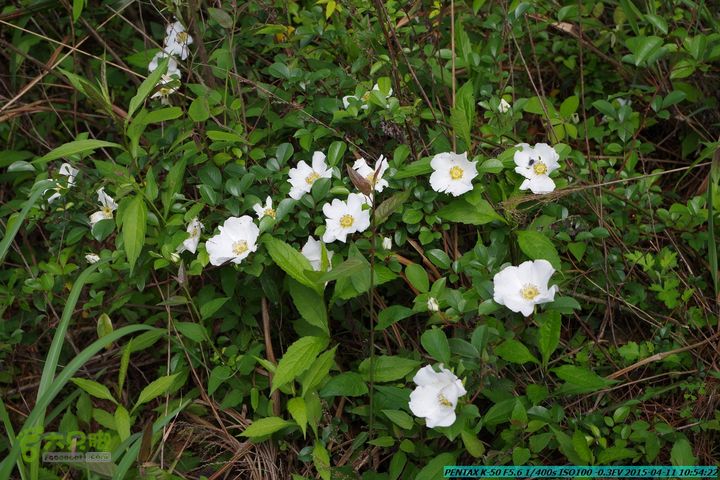 20150411(六只脚桂林同城会)-尧山南北峰穿越IMGP3694