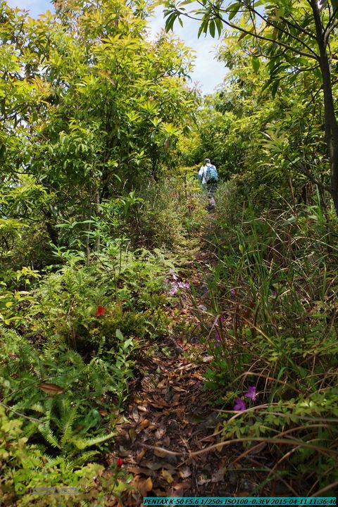 20150411(六只脚桂林同城会)-尧山南北峰穿越IMGP3717