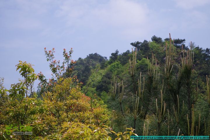 20150411(六只脚桂林同城会)-尧山南北峰穿越IMGP3724