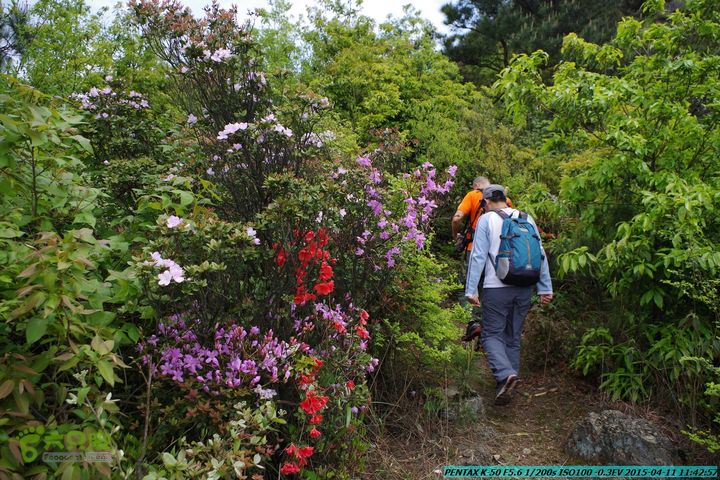 20150411(六只脚桂林同城会)-尧山南北峰穿越IMGP3747
