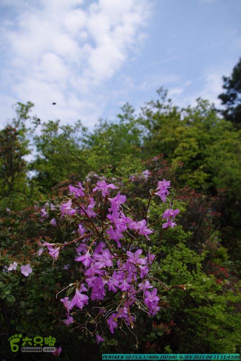 20150411(六只脚桂林同城会)-尧山南北峰穿越IMGP3750