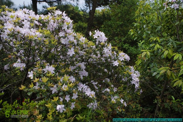 20150411(六只脚桂林同城会)-尧山南北峰穿越IMGP3756