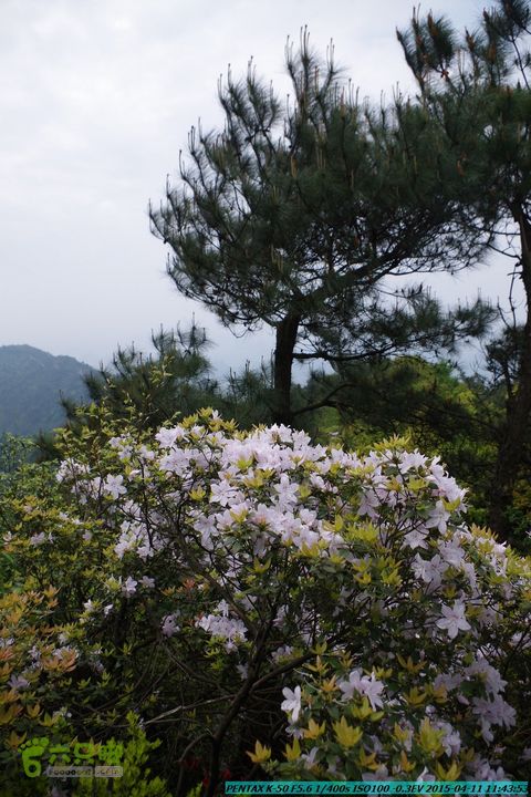 20150411(六只脚桂林同城会)-尧山南北峰穿越IMGP3759