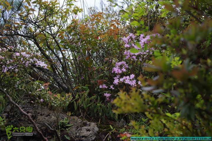 20150411(六只脚桂林同城会)-尧山南北峰穿越IMGP3768