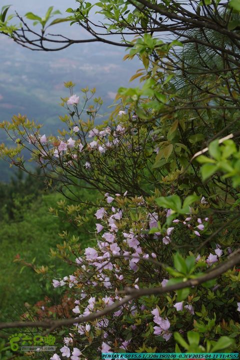 20150411(六只脚桂林同城会)-尧山南北峰穿越IMGP3771