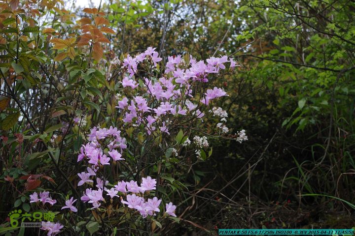 20150411(六只脚桂林同城会)-尧山南北峰穿越IMGP3774