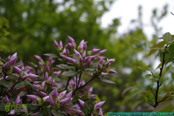 20150411(六只脚桂林同城会)-尧山南北峰穿越IMGP3780