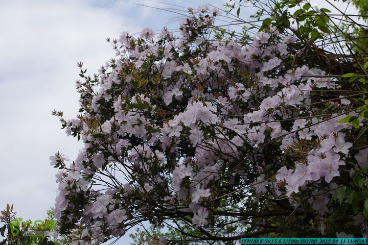 20150411(六只脚桂林同城会)-尧山南北峰穿越IMGP3782