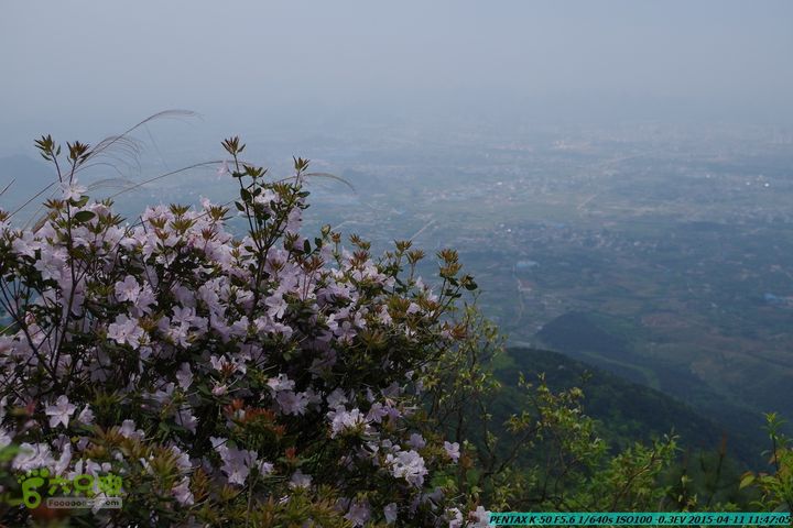 20150411(六只脚桂林同城会)-尧山南北峰穿越IMGP3786
