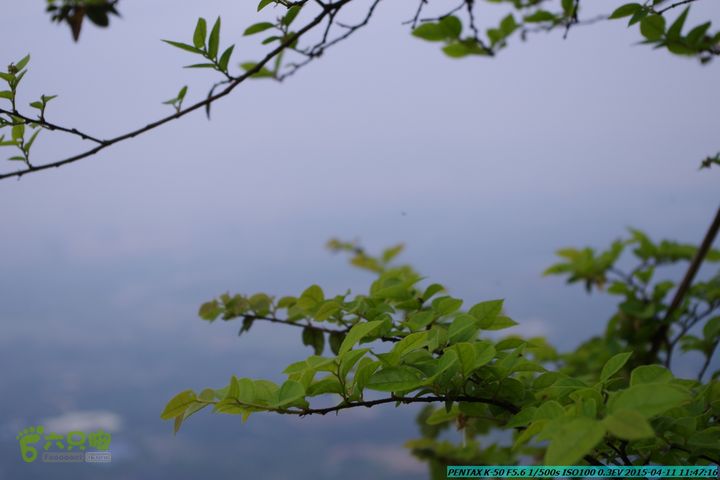 20150411(六只脚桂林同城会)-尧山南北峰穿越IMGP3790