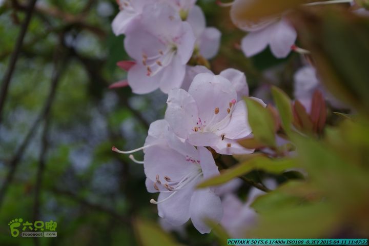 20150411(六只脚桂林同城会)-尧山南北峰穿越IMGP3792