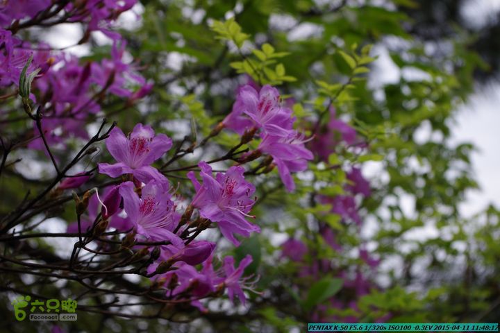 20150411(六只脚桂林同城会)-尧山南北峰穿越IMGP3795
