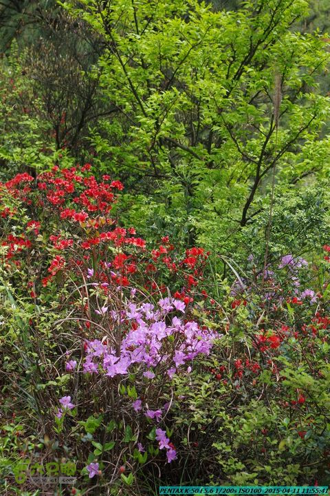 20150411(六只脚桂林同城会)-尧山南北峰穿越IMGP3824