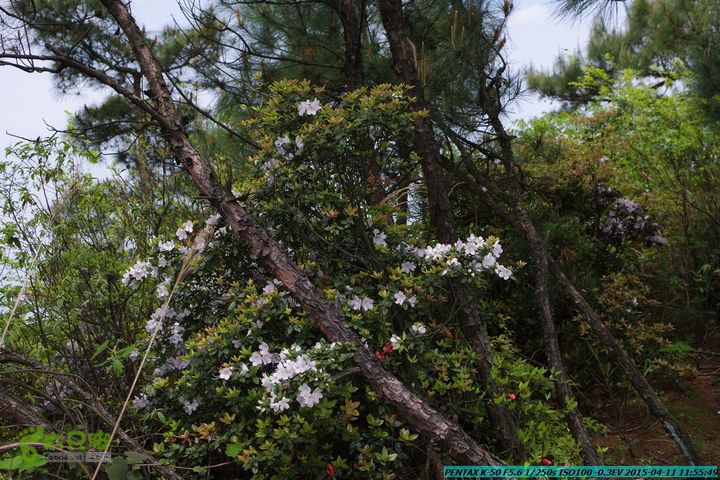 20150411(六只脚桂林同城会)-尧山南北峰穿越IMGP3825