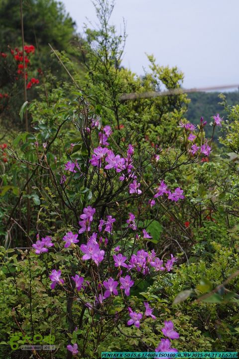 20150411(六只脚桂林同城会)-尧山南北峰穿越IMGP3837