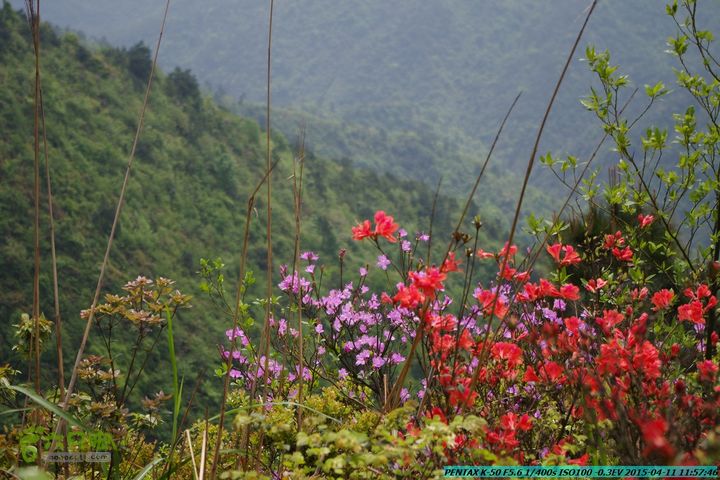 20150411(六只脚桂林同城会)-尧山南北峰穿越IMGP3843