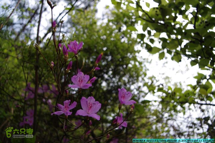 20150411(六只脚桂林同城会)-尧山南北峰穿越IMGP3846