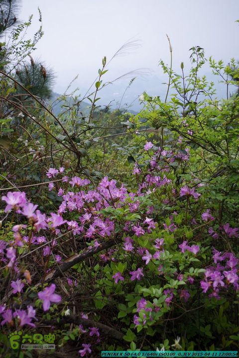 20150411(六只脚桂林同城会)-尧山南北峰穿越IMGP3858