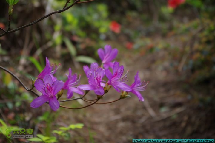 20150411(六只脚桂林同城会)-尧山南北峰穿越IMGP3861