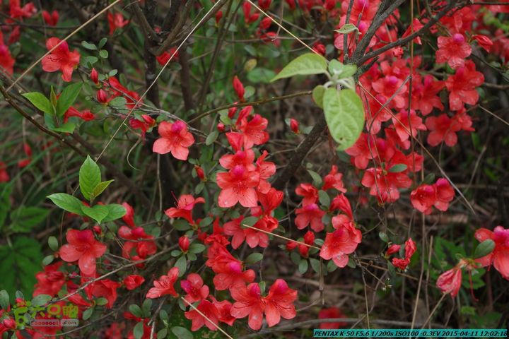 20150411(六只脚桂林同城会)-尧山南北峰穿越IMGP3867