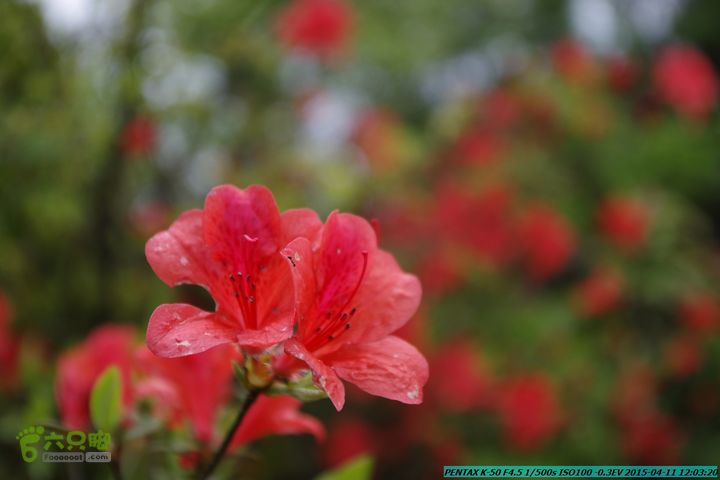 20150411(六只脚桂林同城会)-尧山南北峰穿越IMGP3873