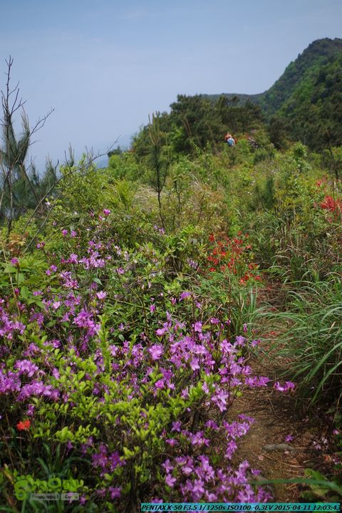 20150411(六只脚桂林同城会)-尧山南北峰穿越IMGP3876