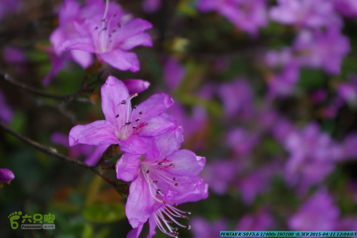 20150411(六只脚桂林同城会)-尧山南北峰穿越IMGP3879