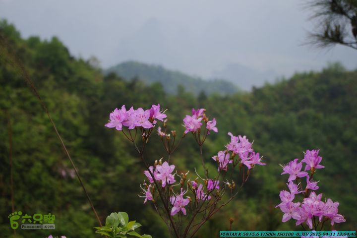 20150411(六只脚桂林同城会)-尧山南北峰穿越IMGP3885