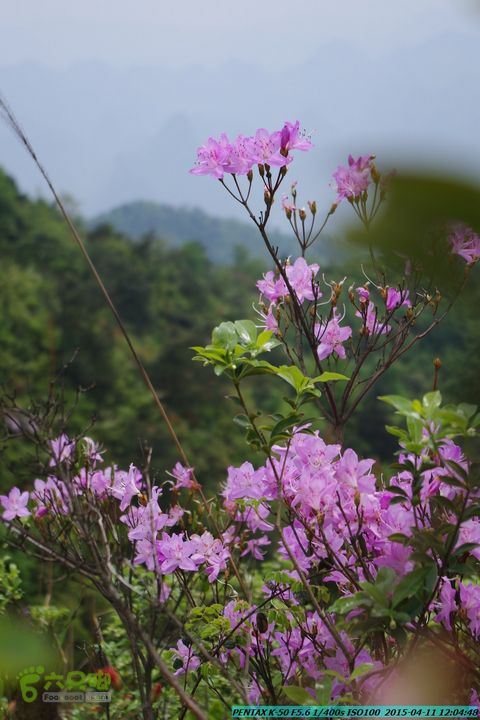 20150411(六只脚桂林同城会)-尧山南北峰穿越IMGP3887