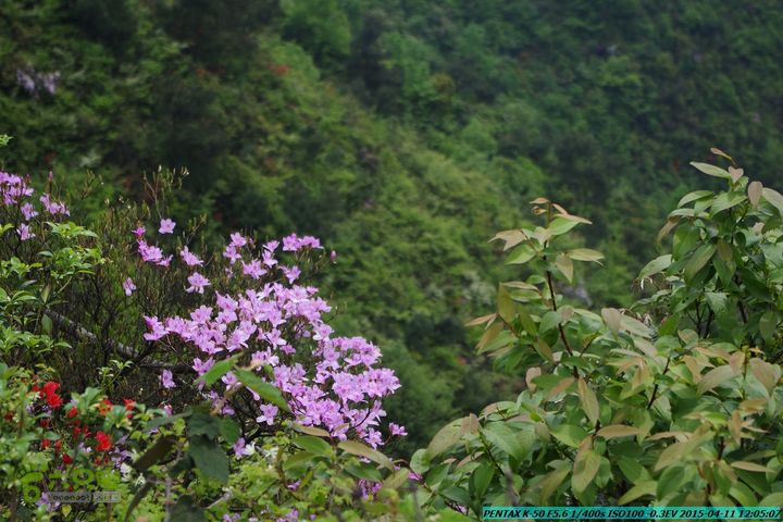 20150411(六只脚桂林同城会)-尧山南北峰穿越IMGP3891