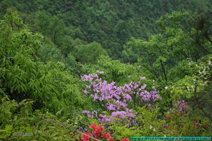 20150411(六只脚桂林同城会)-尧山南北峰穿越IMGP3900