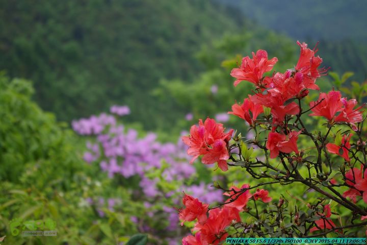 20150411(六只脚桂林同城会)-尧山南北峰穿越IMGP3903