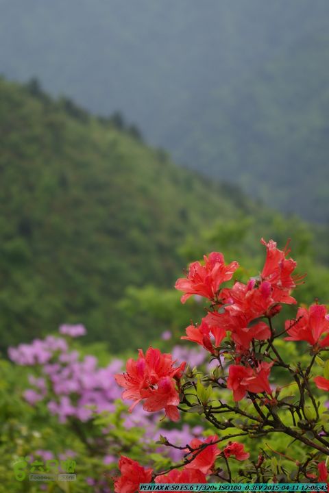 20150411(六只脚桂林同城会)-尧山南北峰穿越IMGP3906