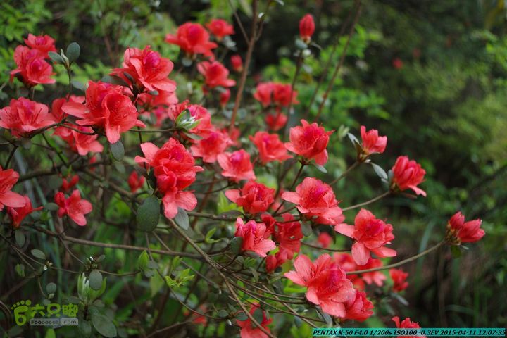 20150411(六只脚桂林同城会)-尧山南北峰穿越IMGP3915