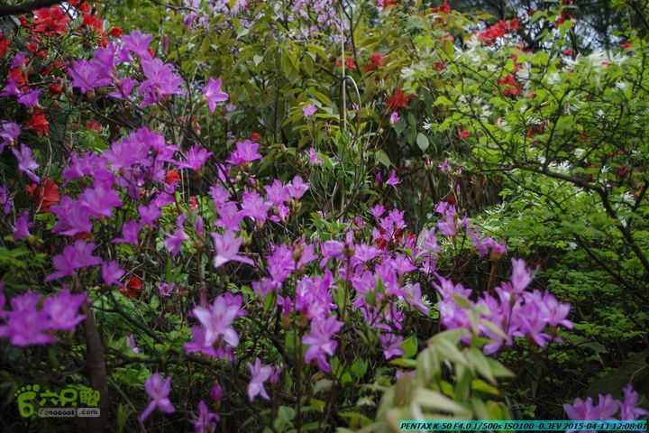 20150411(六只脚桂林同城会)-尧山南北峰穿越IMGP3918