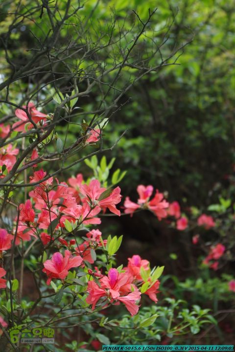 20150411(六只脚桂林同城会)-尧山南北峰穿越IMGP3924