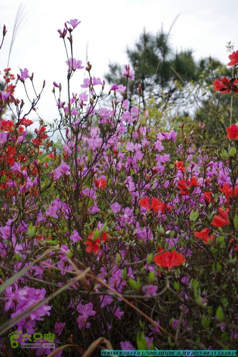 20150411(六只脚桂林同城会)-尧山南北峰穿越IMGP3945