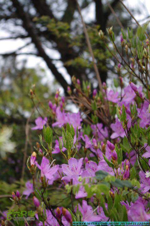 20150411(六只脚桂林同城会)-尧山南北峰穿越IMGP3953